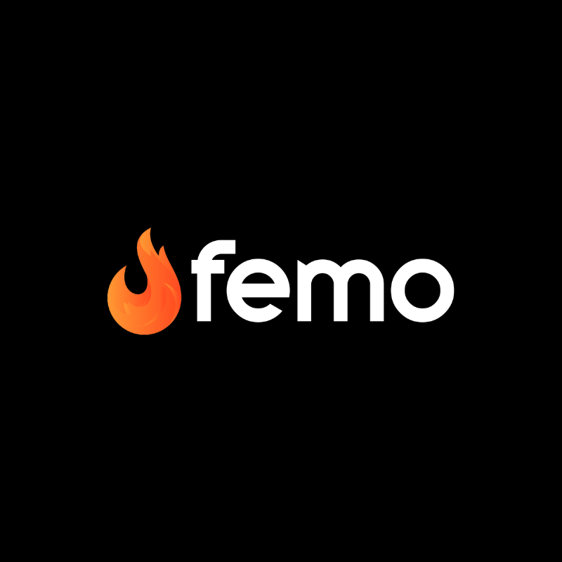 FEMO - Influencer Marketing Platform